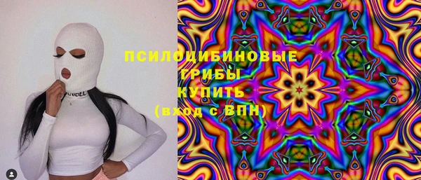 экстази Богородицк