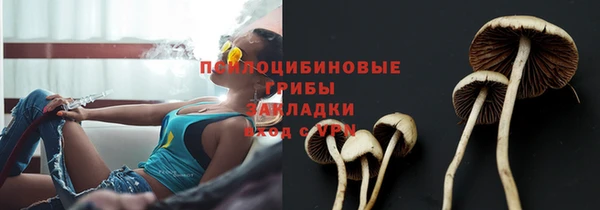 кокаин Белокуриха