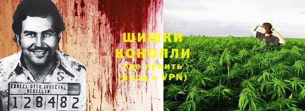 крисы Белоозёрский