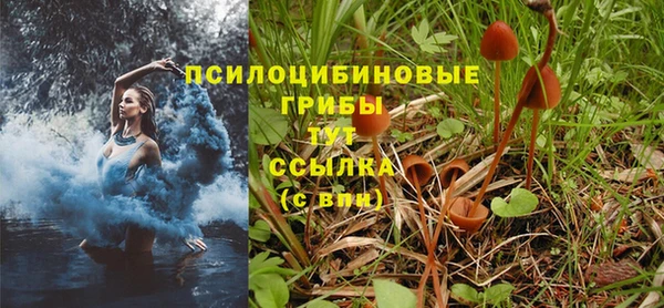 экстази Богородицк
